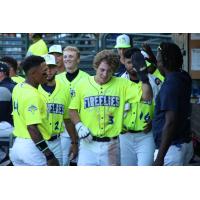 Columbia Fireflies' Sean Gamble on game night
