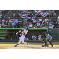 Charleston RiverDogs at bat