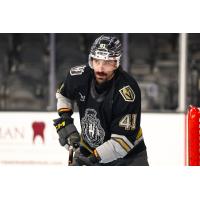 Henderson Silver Knights defenseman Brandon Hickey