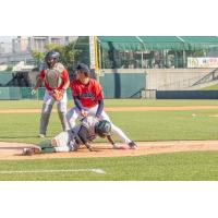 Lincoln Saltdogs apply a tag at home against the Gary SouthShore RailCats
