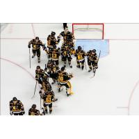 Wheeling Nailers exchange congratulations following a win