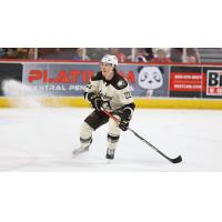 Forward Mike Sgarbossa with the Hershey Bears