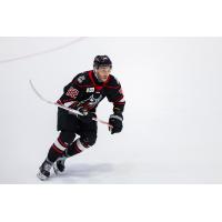Adirondack Thunder forward Matt Salhany