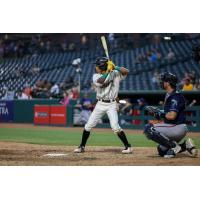 Greensboro Grasshoppers designated hitter Dylan Palmer