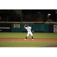 Montgomery Biscuits second baseman Jadher Areinamo