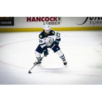 Maine Mariners defenseman Nick Anderson