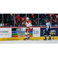 Grand Rapids Griffins forward Nolan Moyle