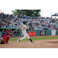Greensboro Grasshoppers designated hitter Easton Carmichael