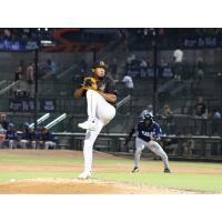 Columbia Fireflies' in action
