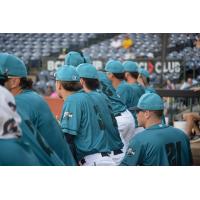 Mississippi Mud Monsters on game night
