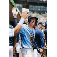 Charleston RiverDogs' Cooper Flemming