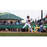 Down East Bird Dawgs at bat