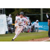 Victoria HarbourCats' Rohne Klein in action