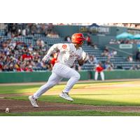 Winnipeg Goldeyes centre fielder Noah Marcelo