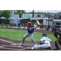 Green Bay Rockers outfielder Coleman Lewis