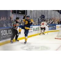 Forward Brady Fleurent with the Norfolk Admirals