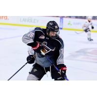 Vancouver Giants defenceman Crosby Mateychuk