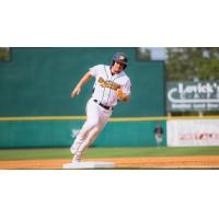 Down East Bird Dawgs on the basepaths