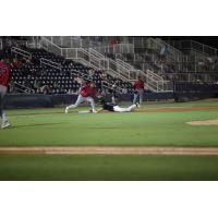 Biloxi Shuckers and Pensacola Blue Wahoos in action
