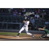 Fayetteville Woodpeckers' Josh Wakefield at bat