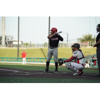 Sioux City Explorers at bat