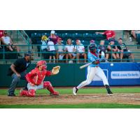 Tri-City Dust Devils and Vancouver Canadians in action