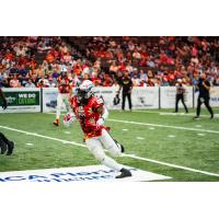 Jacksonville Sharks running back Jimmie Robinson Jr.