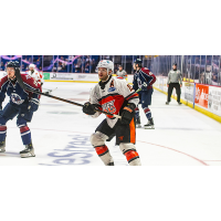 Defenseman Marcus Crawford with the Kansas City Mavericks