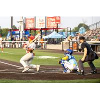 Noah Marcelo of the Winnipeg Goldeyes at bat