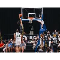 Edmonton Stingers go up for a dunk