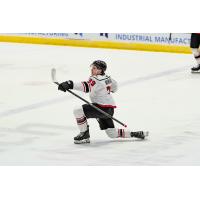 Adirondack Thunder forward Brannon McManus