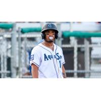 Ricardo Cova of the Everett AquaSox