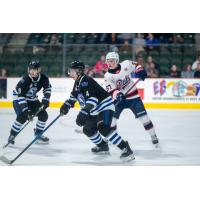 Wenatchee Wild defenseman Boston Tait