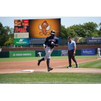 DJ Gladney of the Somerset Patriots
