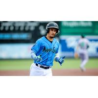Korbyn Dickerson of the Everett AquaSox