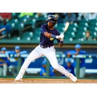 Yandel Ricardo of the Columbia Fireflies