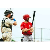 Max Murphy at bat for the Winnipeg Goldeyes