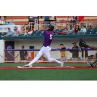 Lake Erie Crushers' Jarrod Watkins at bat