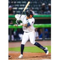 Columbia Fireflies' Ivan Sosa at bat