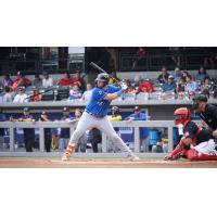 Biloxi Shuckers' Blake Burke at bat