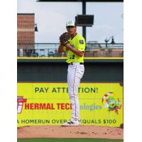 Columbia Fireflies pitcher Shane Van Dam