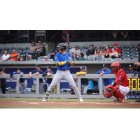 Biloxi Shuckers await a pitch