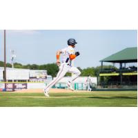 Down East Bird Dawgs race for home