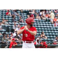 Max Murphy at bat for the Winnipeg Goldeyes