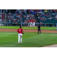 Fargo-Moorhead RedHawks in action