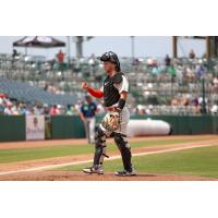Greensboro Grasshoppers catcher Cam Janik