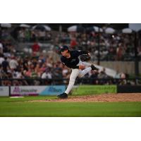 Somerset Patriots' Rory Fox in action