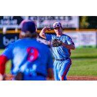 Victoria HarbourCats on game night