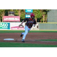 Adam Hall of the Winnipeg Goldeyes, as the Mosquitoes