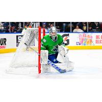 Goaltender Jonathan Lemieux with the Abbotsford Canucks